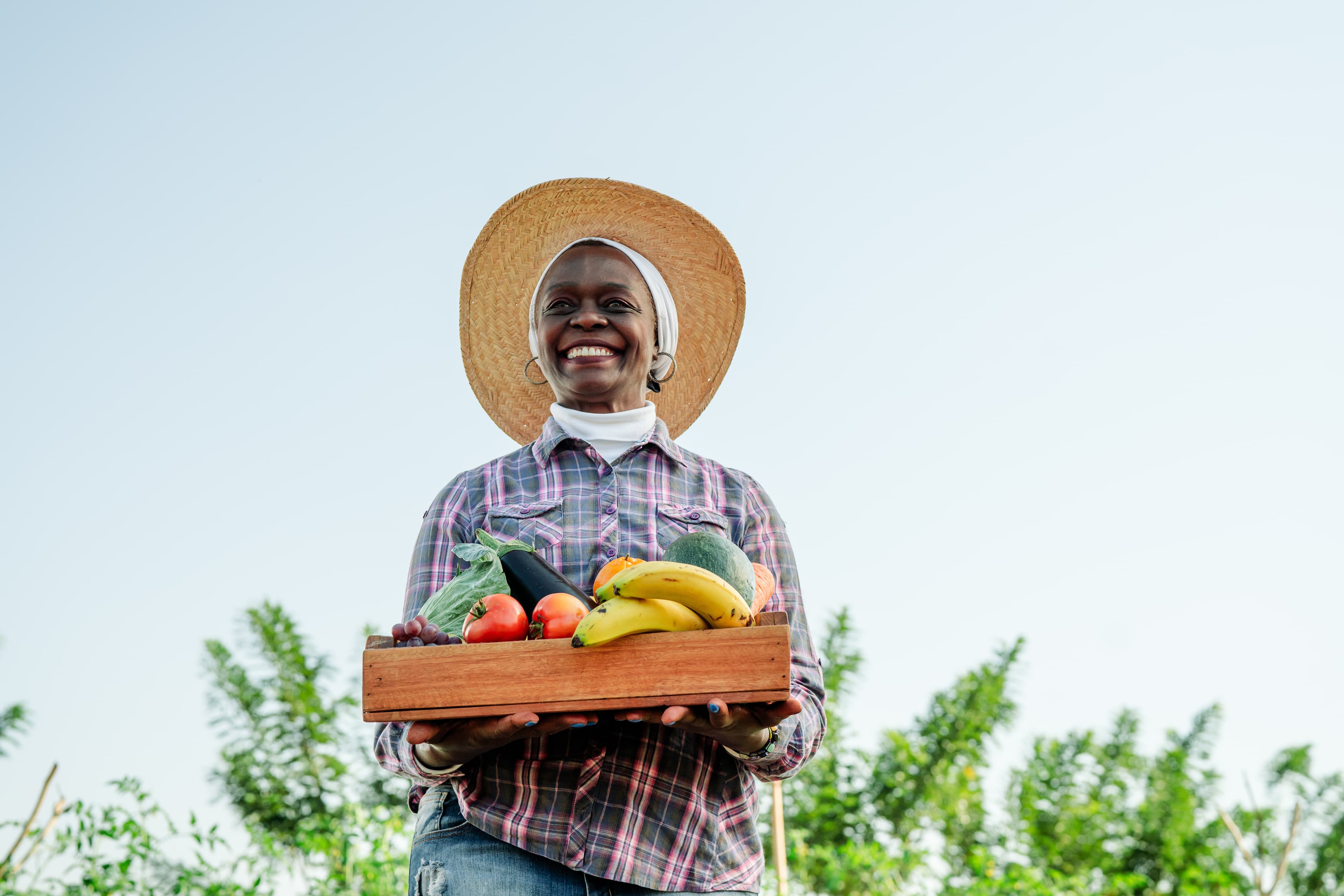 A smiling farmer in a straw hat holds a wooden crate of fresh tomatoes, bananas, and vegetables.
